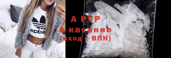 гашиш Богданович