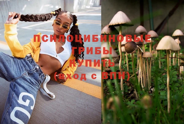 дмт Богородицк