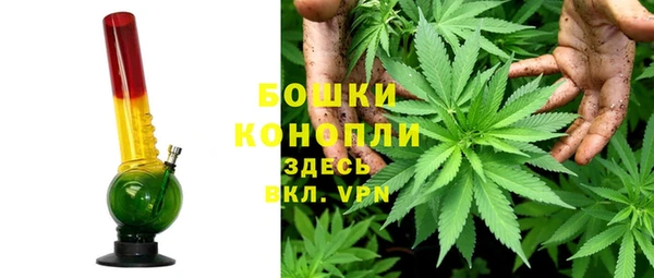 2c-b Богородск