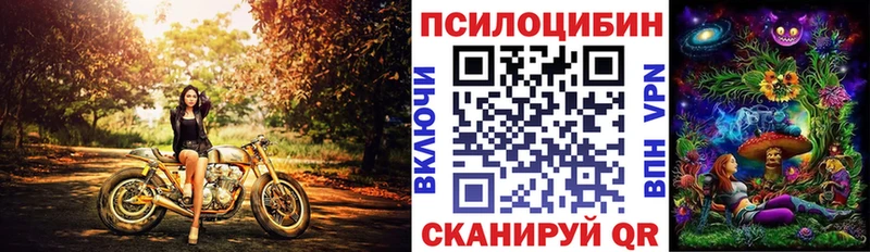 Псилоцибиновые грибы мицелий  Великий Устюг 